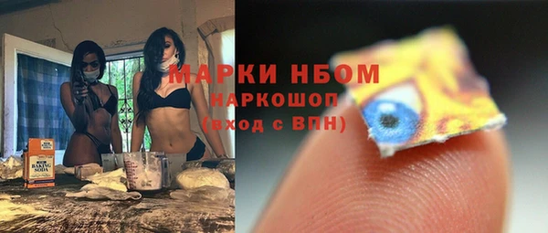 прущие грибы Инта