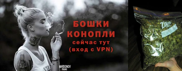 прущие грибы Инта