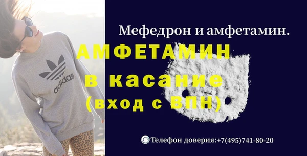 прущие грибы Инта