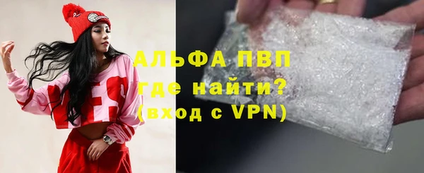 прущие грибы Инта
