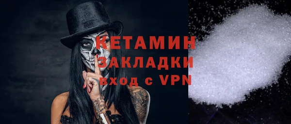 гидра Гатчина