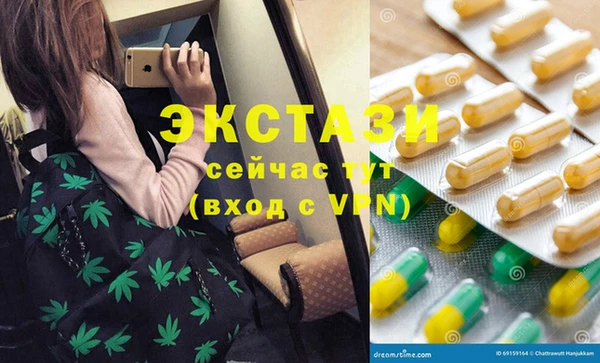 прущие грибы Инта
