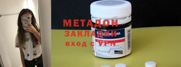 прущие грибы Инта