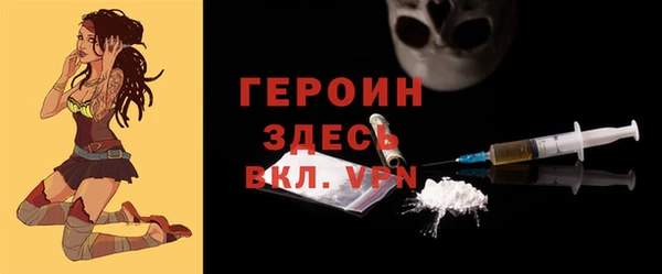 прущие грибы Инта