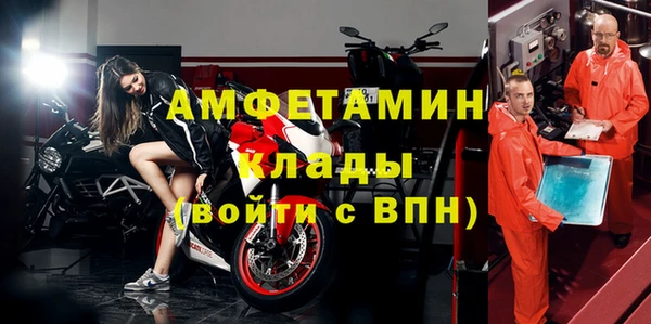 прущие грибы Инта