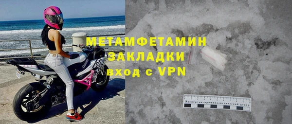 прущие грибы Инта