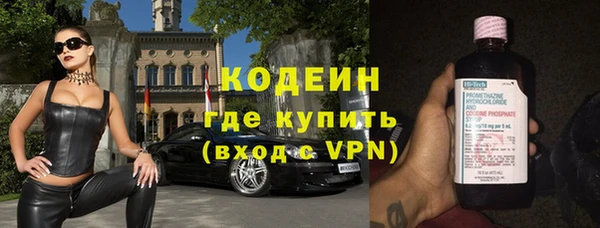 прущие грибы Инта
