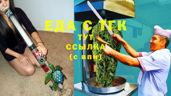 прущие грибы Инта