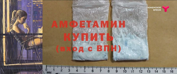 прущие грибы Инта