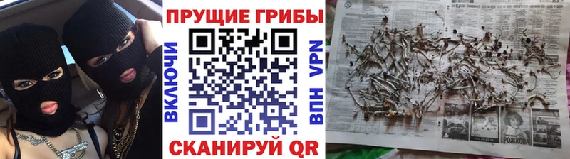 цены наркотик  Кандалакша  маркетплейс наркотические препараты  Галлюциногенные грибы ЛСД 